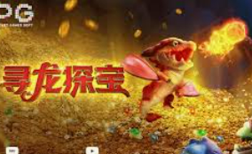 大小单双导师带赚包赔客户端