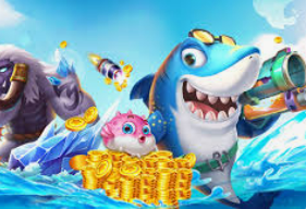 大小单双导师带赚包赔电脑免费版